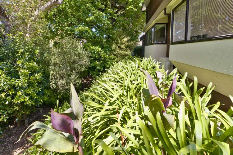 24 Hunters Hill Havelock North_21