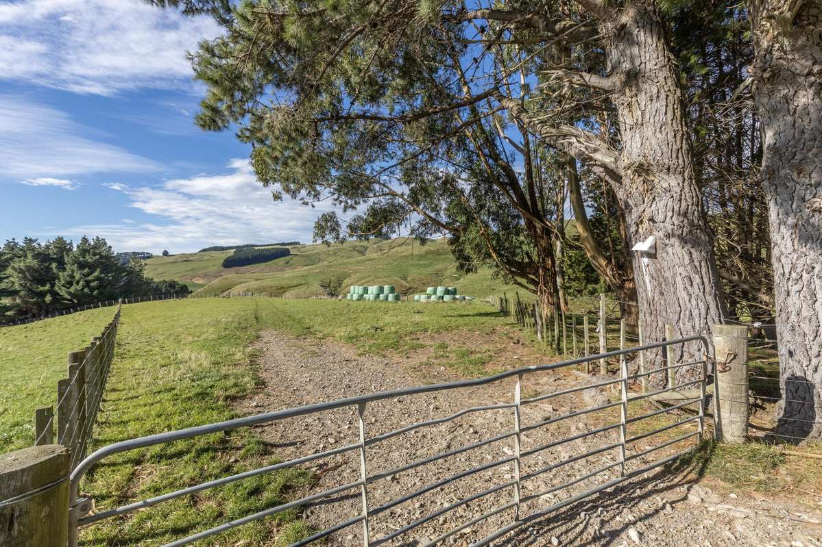 467 Waitahora Valley Road_2