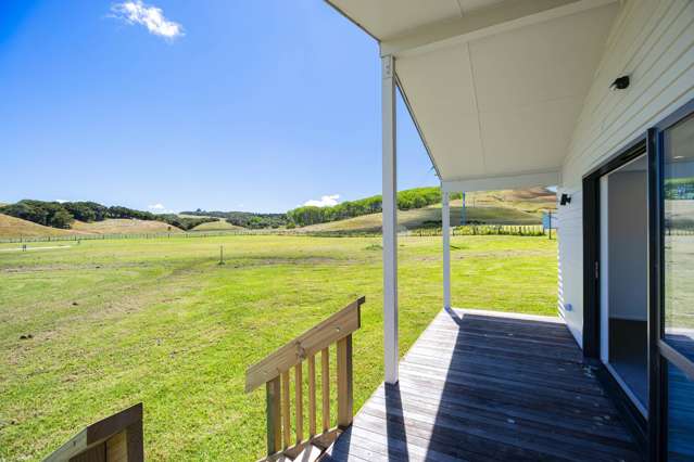 1514 Run Road Tapora_2