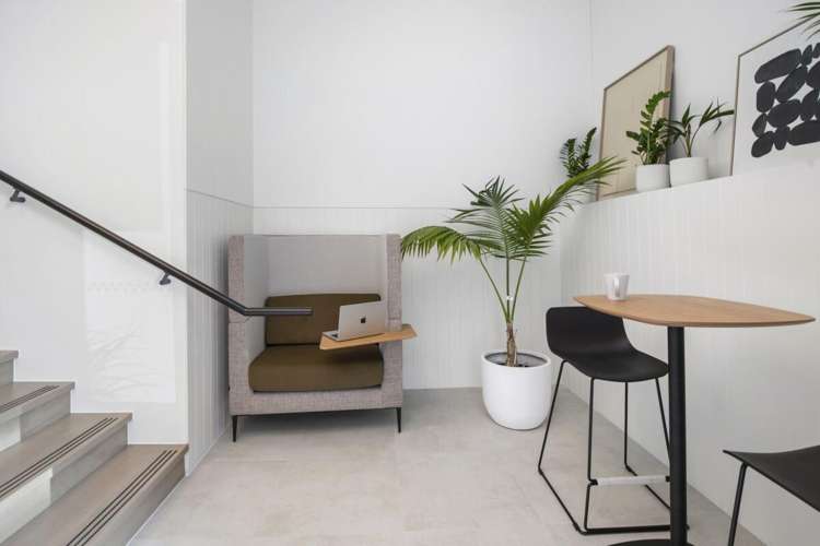 7 Rose Road Grey Lynn_11