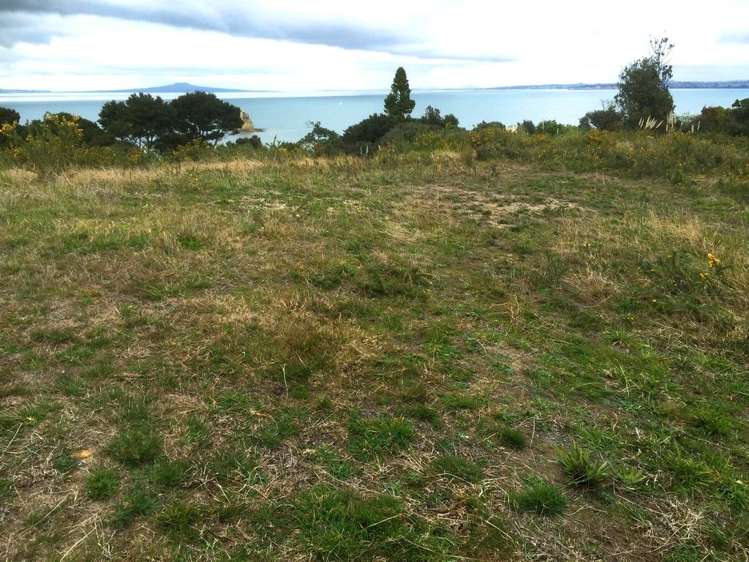 56 Beauvoir Avenue Matakatia_3