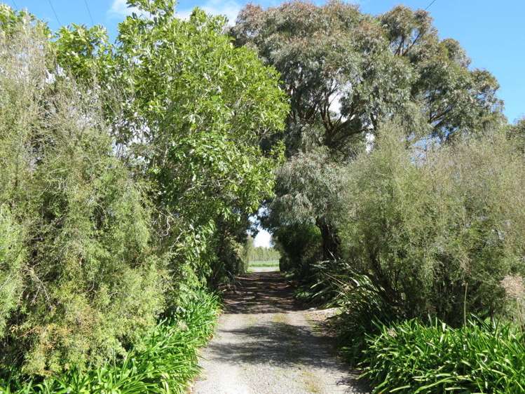 290 Upper Plain Road Upper Plain_18