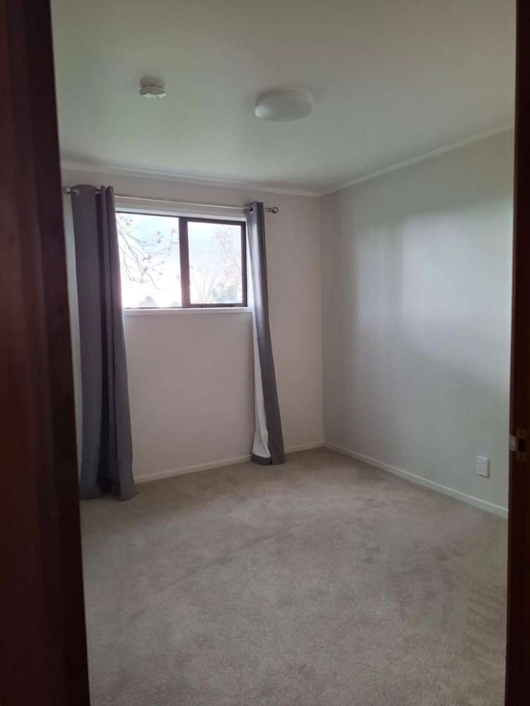  8 Plimmer Terrace Shannon_5