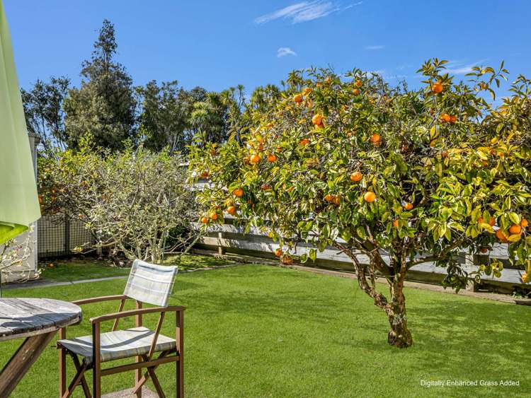 171b King Street Whakatane_25