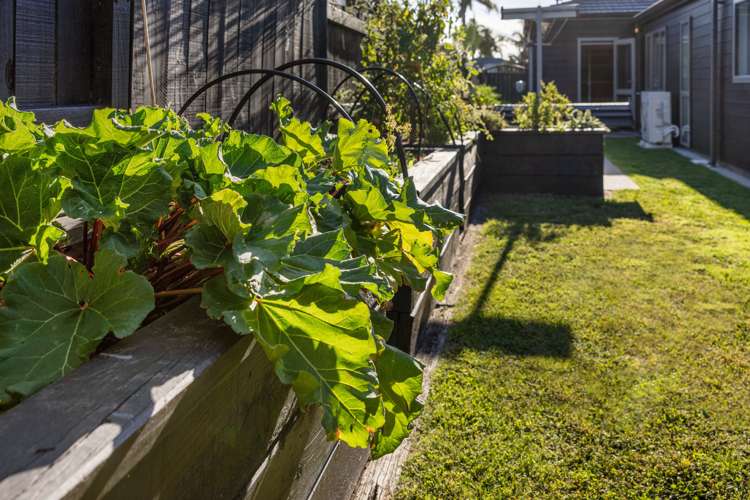 54 Santa Barbara Drive Papamoa_35