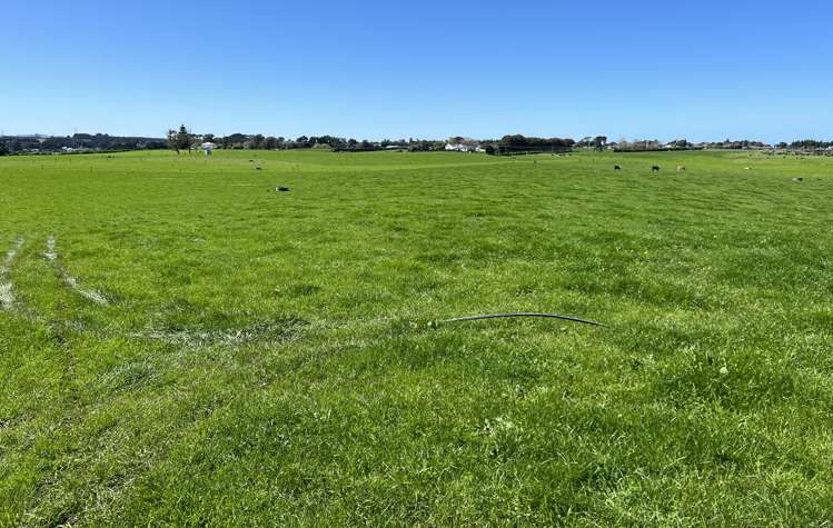 149 Paerewa Road Waverley_1