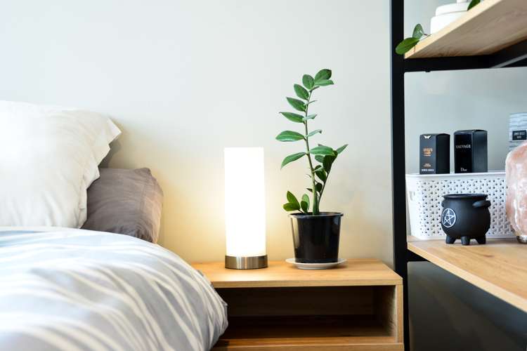 1/30 Willoughby Street Whitiora_10