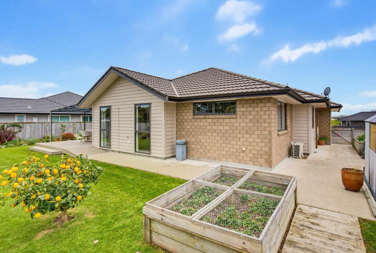35 Waipunahau Road Waikanae_12