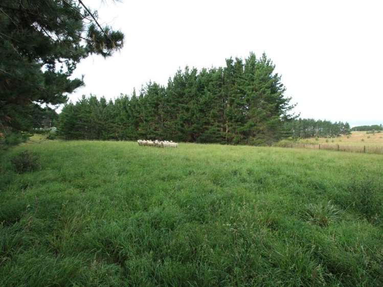 4349 Highway Pepepe_11