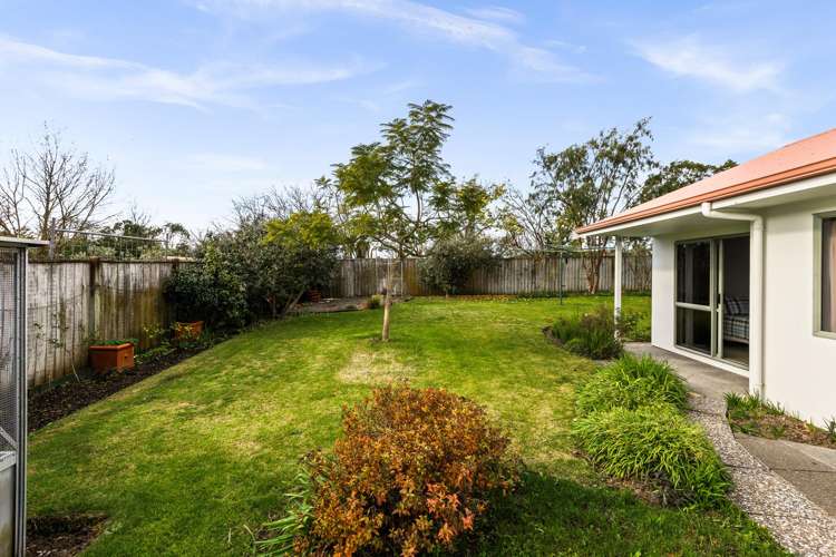 32 Palmbrook Avenue Havelock North_14