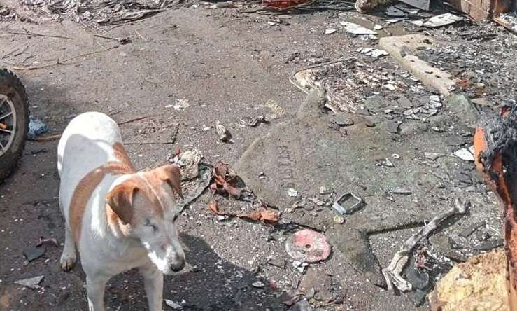 The remnants of Alverston Street, in Waterview, Auckland, sold for $490,500 after 15 buyers turned up to bid at the <img reserve auction. Photo / Supplied