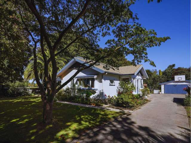 The ultimate charmer!