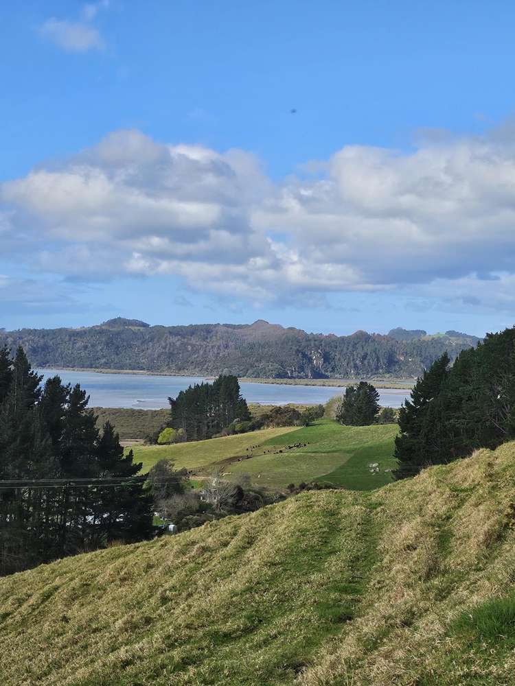 31 Mill Creek Road Whitianga_27