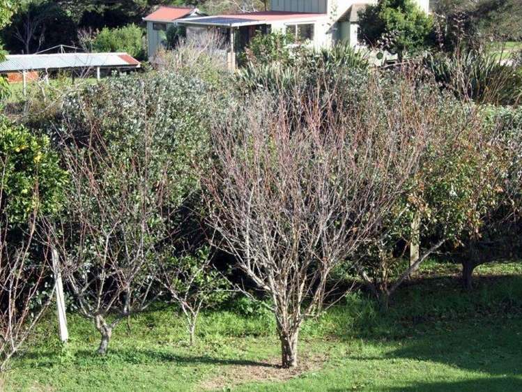 11 Harbour View Road Pukenui_20