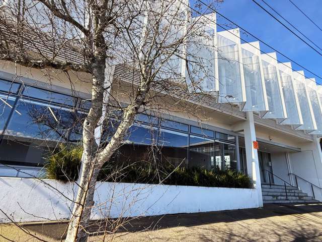 17 Maidstone Street Grey Lynn_3