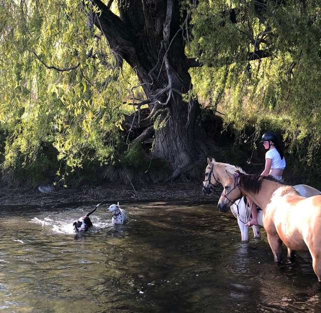 8.5ha Backing onto the Lindis River