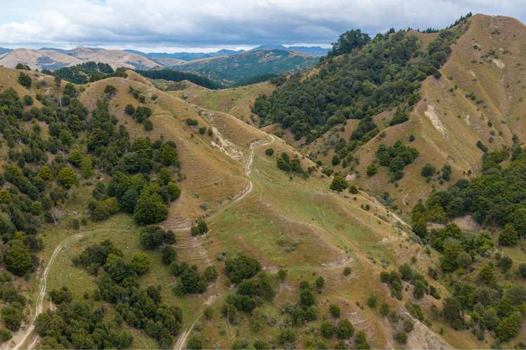 310 Branscombe Road Akitio_15