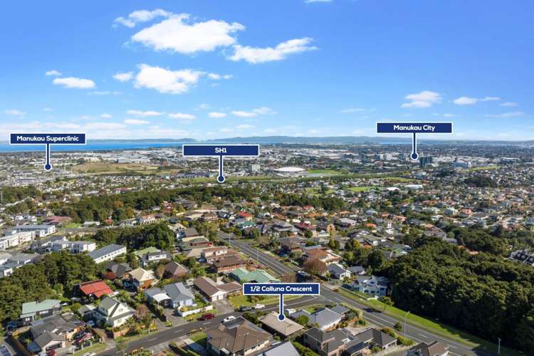 1/2 Calluna Crescent Totara Heights_16