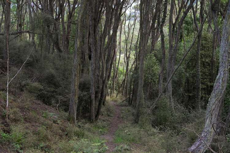 405 Saddle Hill Road Scroggs Hill_5