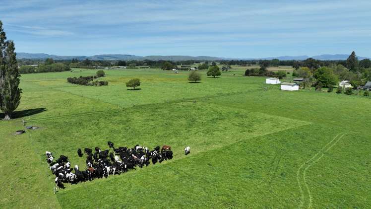 Lot Lot 2/382 Dalefield Road Dalefield/Wakatipu Basin_5