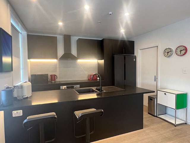 70 Tennyson Street Napier South_3