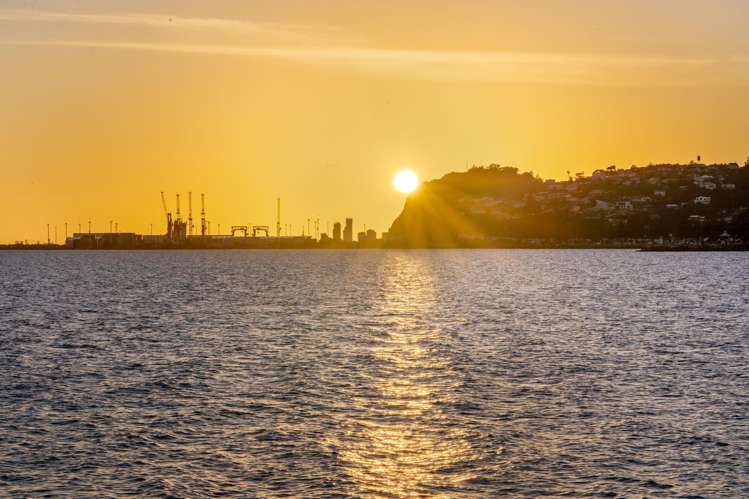 17A Ferguson Avenue Westshore_17