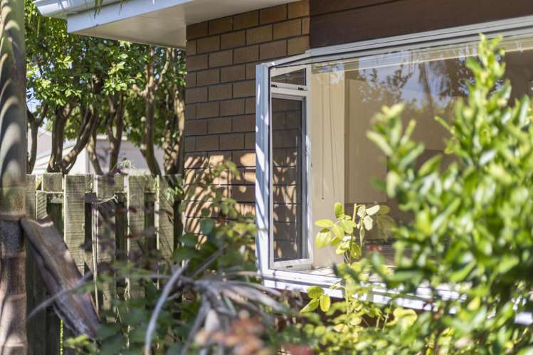 263d Meola Road Point Chevalier_12