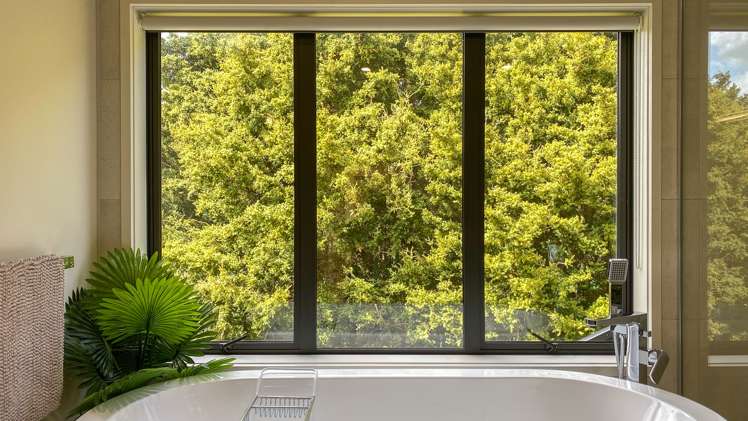 166 Waikaretu Valley Road Glen Murray_12