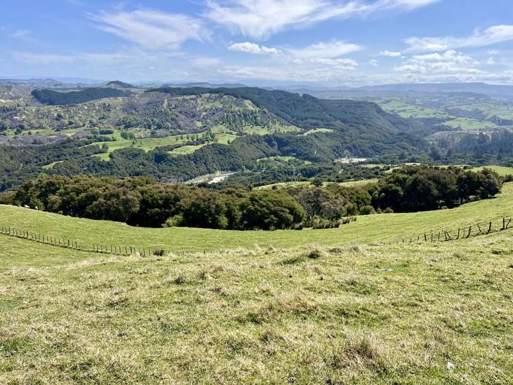 1050 Ellis Wallace Road Eskdale_2