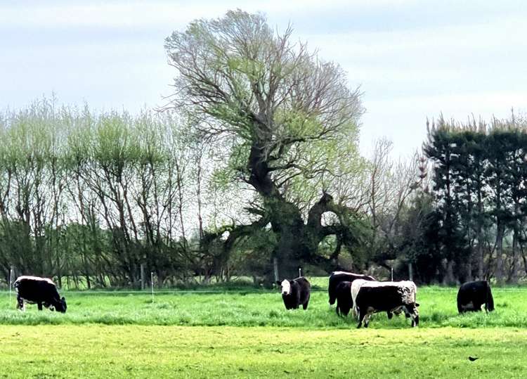 140 Hudsons Road Lincoln_33