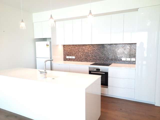 223b Greenlane West  (Alexandra Park Apts) 1662_2