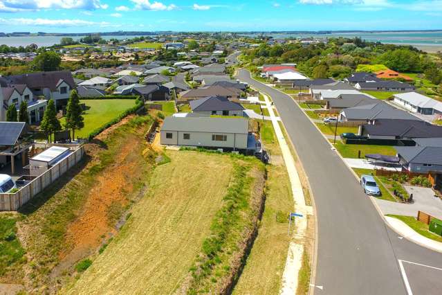 54 Bert Wall Drive Omokoroa_1