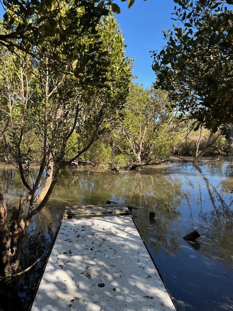 19 Arawa Place Onerahi_31