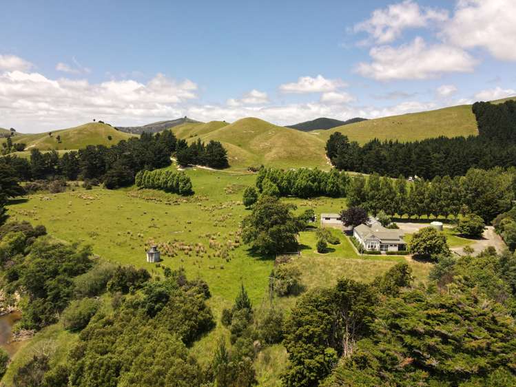 157 Waihi Valley Road Waione_11