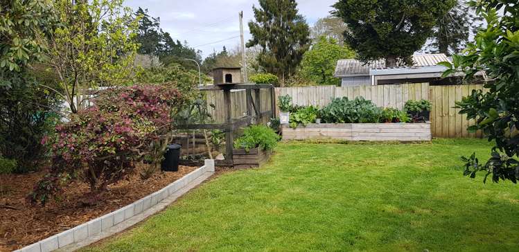 16 Banks Street Waihi_5