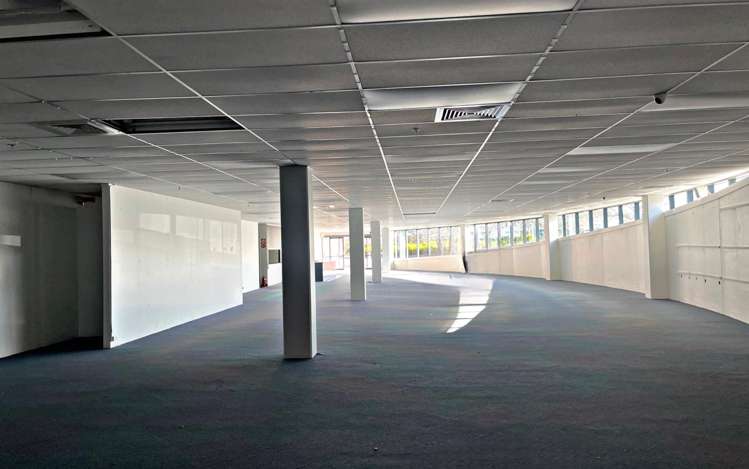 19 Don McKinnon Drive Albany_1