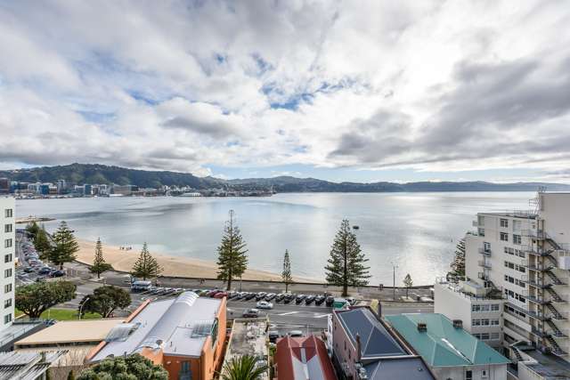 22 Hay Street Oriental Bay_3