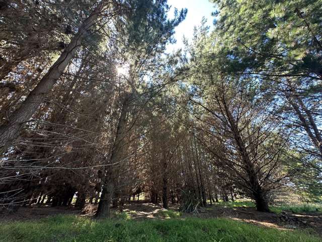 16 Waka Tete Place Waitarere Beach_4