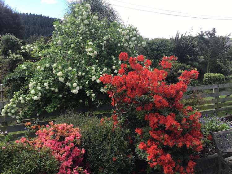 2a Bidston Street Outram_27