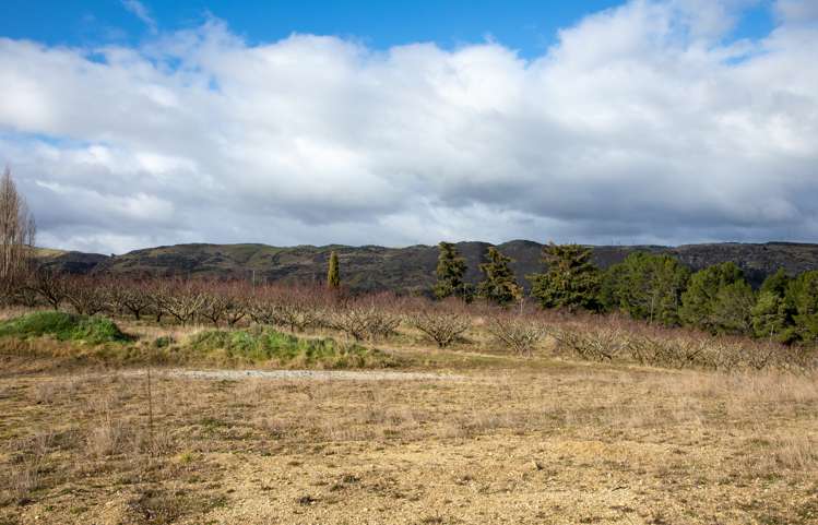 Ladysmith Road Roxburgh East_16