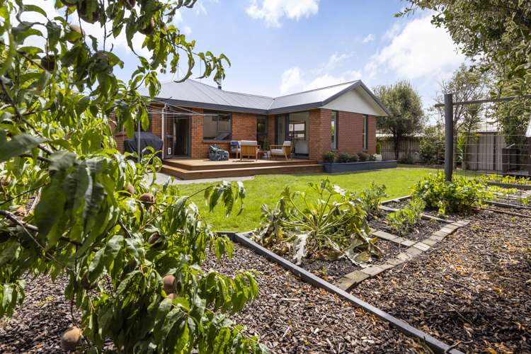 23 Tereice Street Witherlea_24