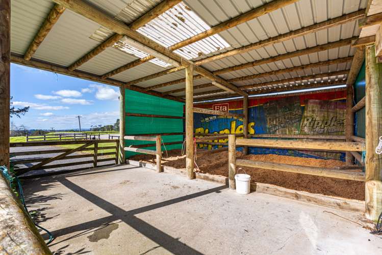 92 Wymer Road Glenbrook_18