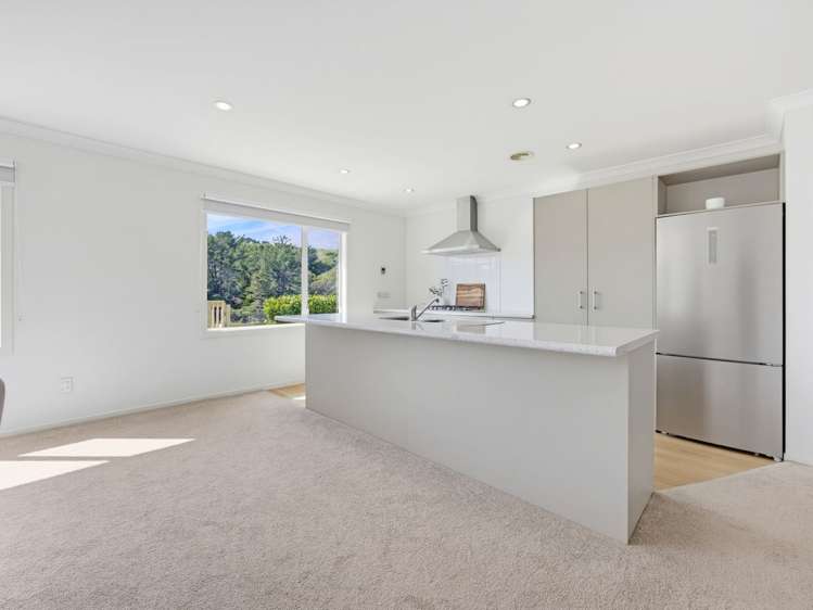 47 TE PUIA DRIVE Aotea_5