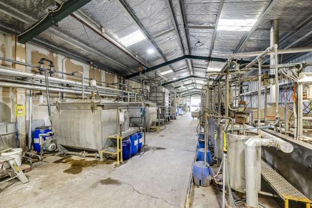 100 Niven Street Onekawa_3