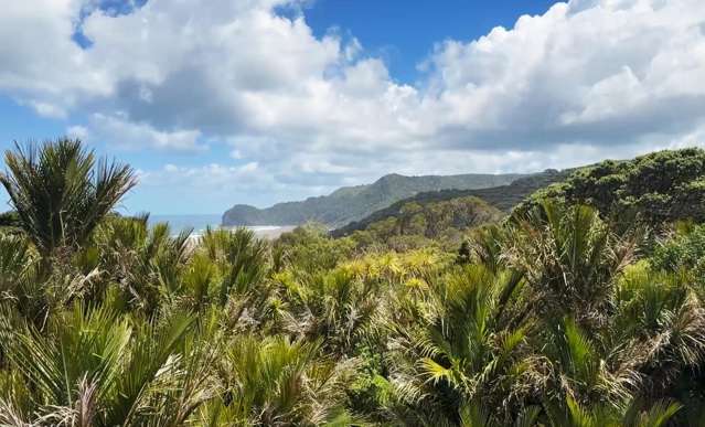 17 Rayner Road Piha_1
