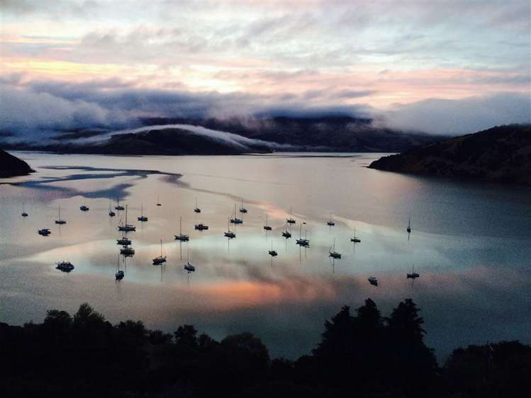 176 Wainui Main Road French Farm_23