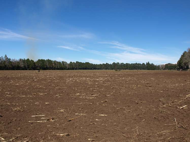 87 West Road Clevedon_11