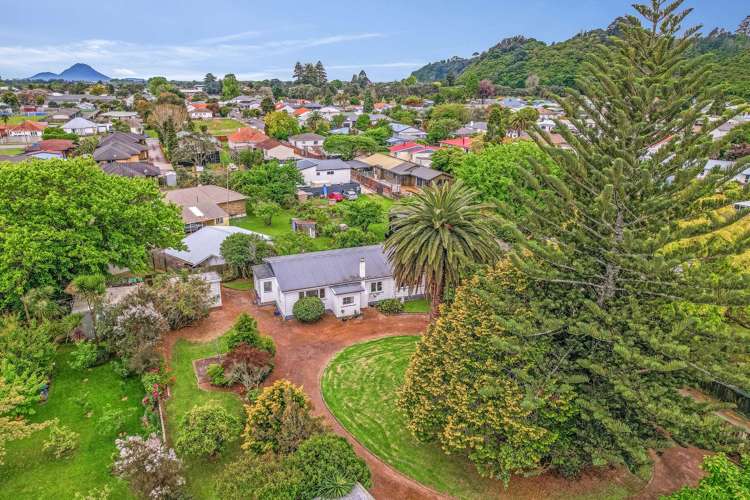 48B Alexander Avenue Whakatane_15