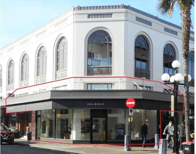 34 Tennyson Street Napier South_3