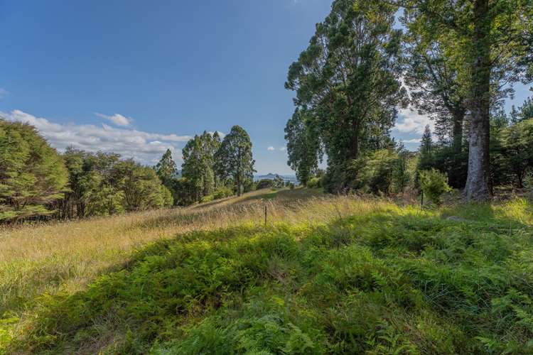 184 Hikuai Settlement Road Hikuai_16